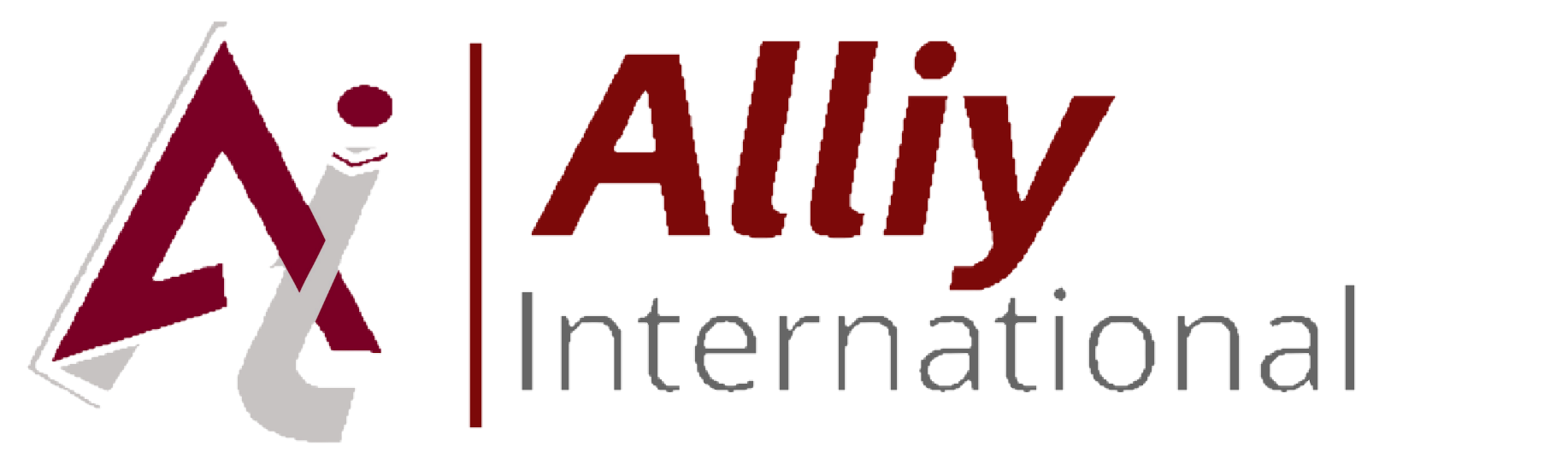 Alliyinternational